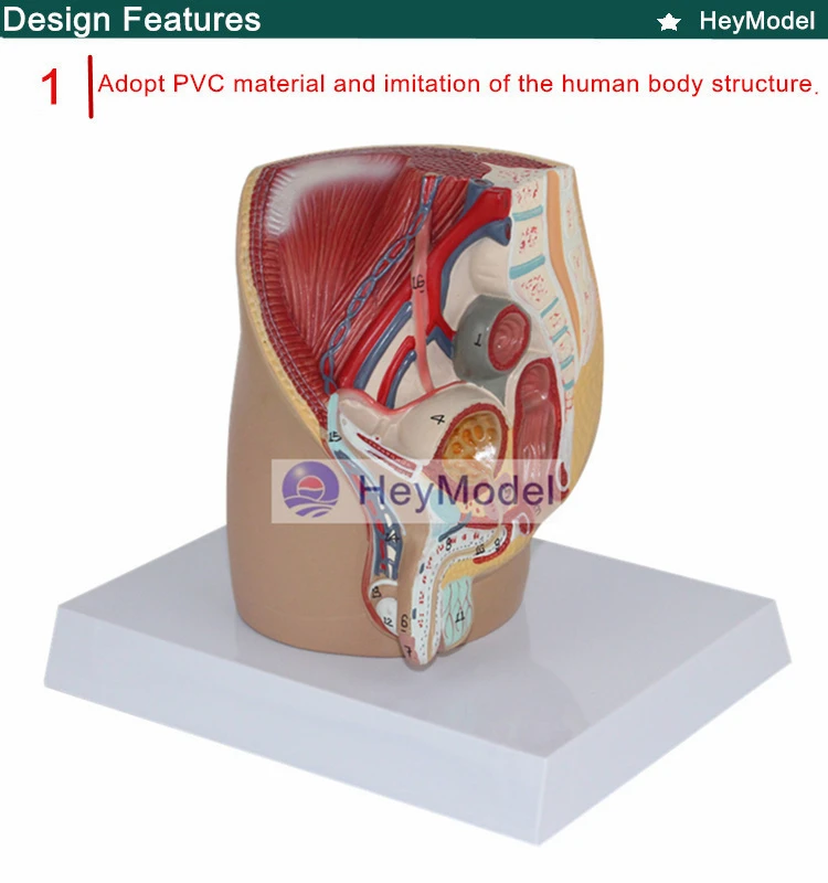 1.PVC_