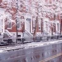 Winter  Snow In Washington Square  NYC  New York City  New York State  USA Poster Print (18 x 7)
