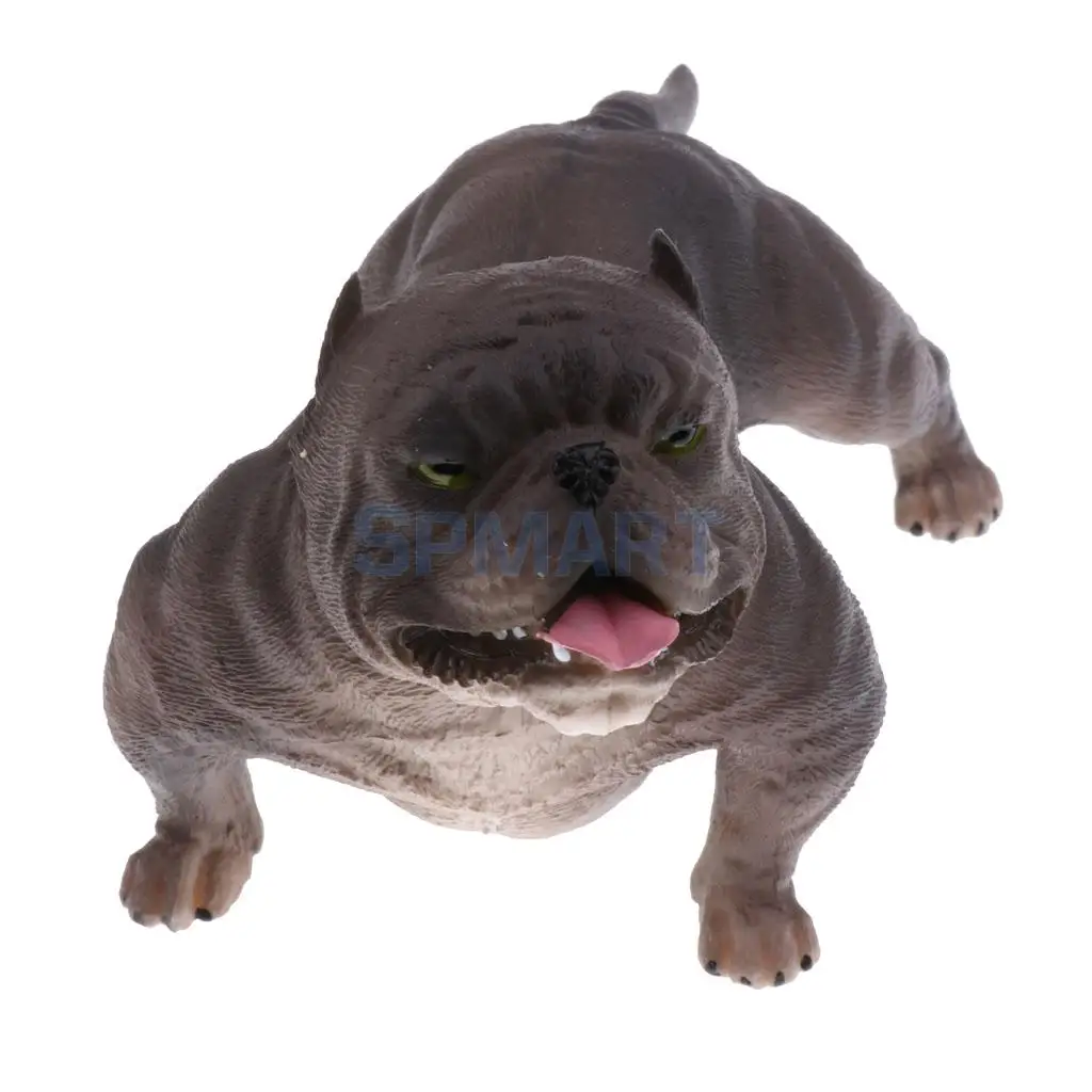 Simulation Wildlife Farm Pet Animal Model Action Figures Figurine Kid Educational Science Nature Toy Home Collectible Decoration