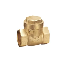 Муфта с внутренней резьбой обратный клапан 232PSI предотвращает обратную подачу воды DN15 DN20 DN25 опционально