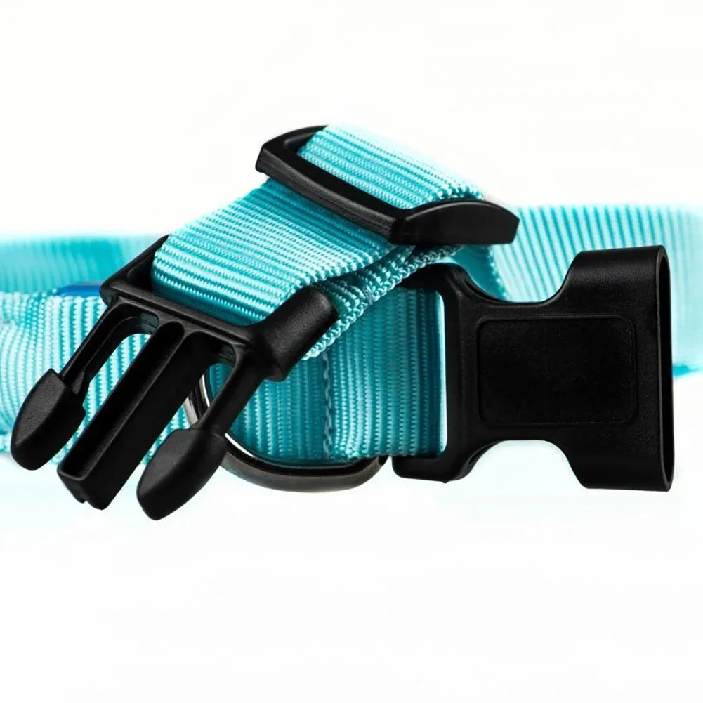 Luzes da Noite pet dog collar ajustável alça Tipo : Night Light