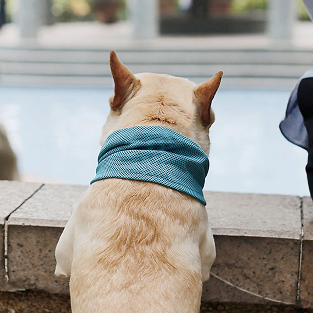 

Dog Bandana Scarf for Pet Small Dogs Bulldog Summer Polyester Sunstroke Cooling Neck Wrap dog collar Hot Sale