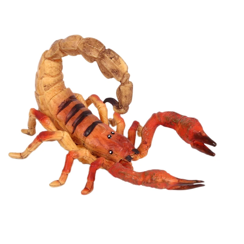 

Children'S Simulation Wild Animal Scorpion Insects Squatting Static Solid Model Toy