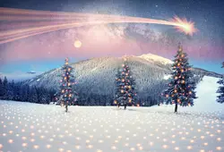 Laeacco зимние сосна света боке Новый год фотографии фон Индивидуальные фотографические фонов для фотостудии