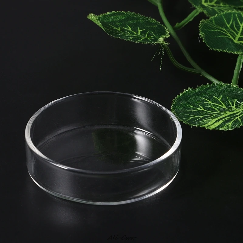 

Clear Glass Shrimp Food Round Dishes Small Fish Feeding Bowl Ornamental Supplies