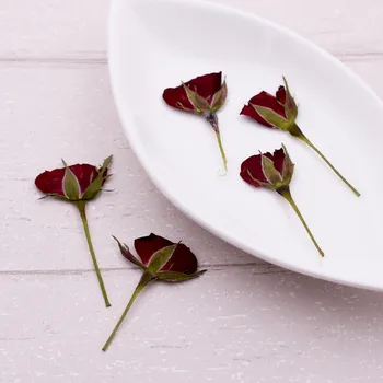 

10pieces rose flower bud with branch Natural Dried Flowers Pressed Herbarium Flower Decorative Crafts filler jewelry findings