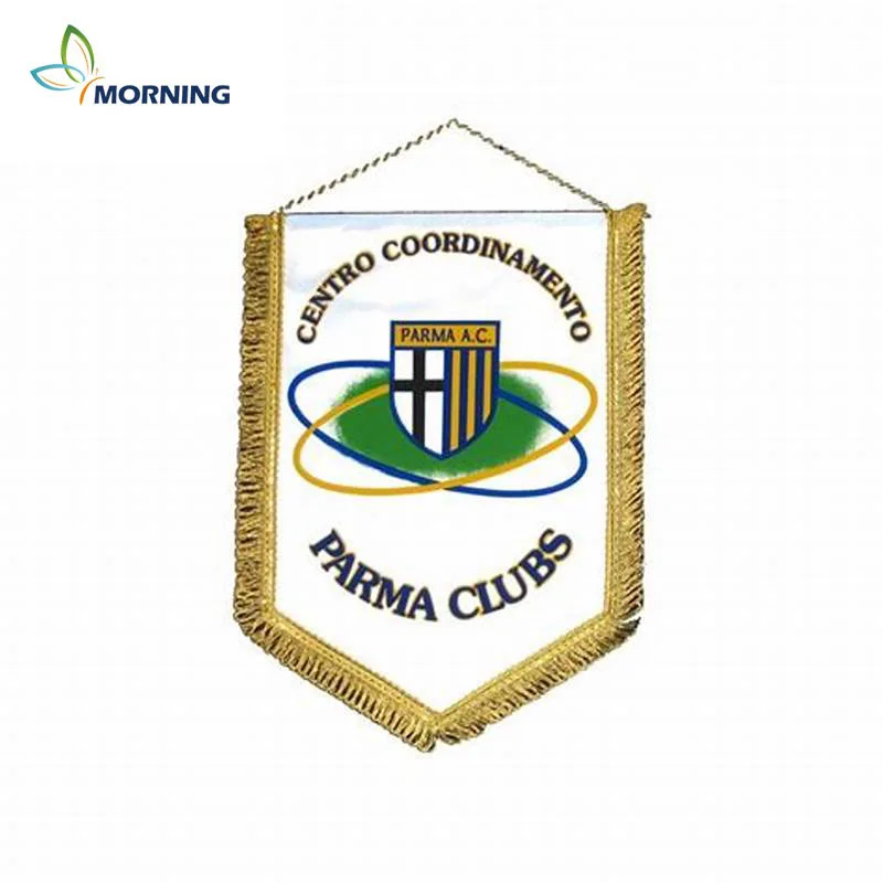 

Custom colour logo pennant flag exchange flag