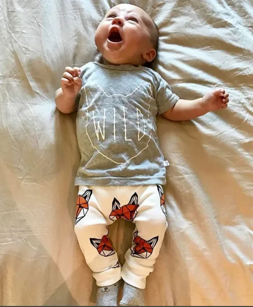 2019 Summer New Baby Boy Clothes set Short sleevesd Leisure fox T shirt+Pants Newborn Clothes Baby Girl Clothing 2 Pcs Set