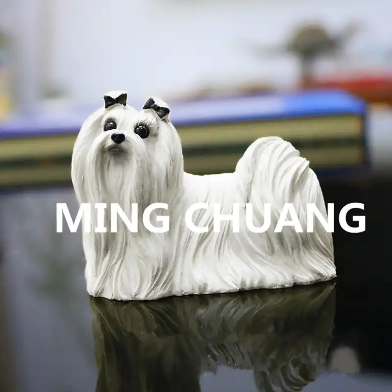 mini maltese terrier