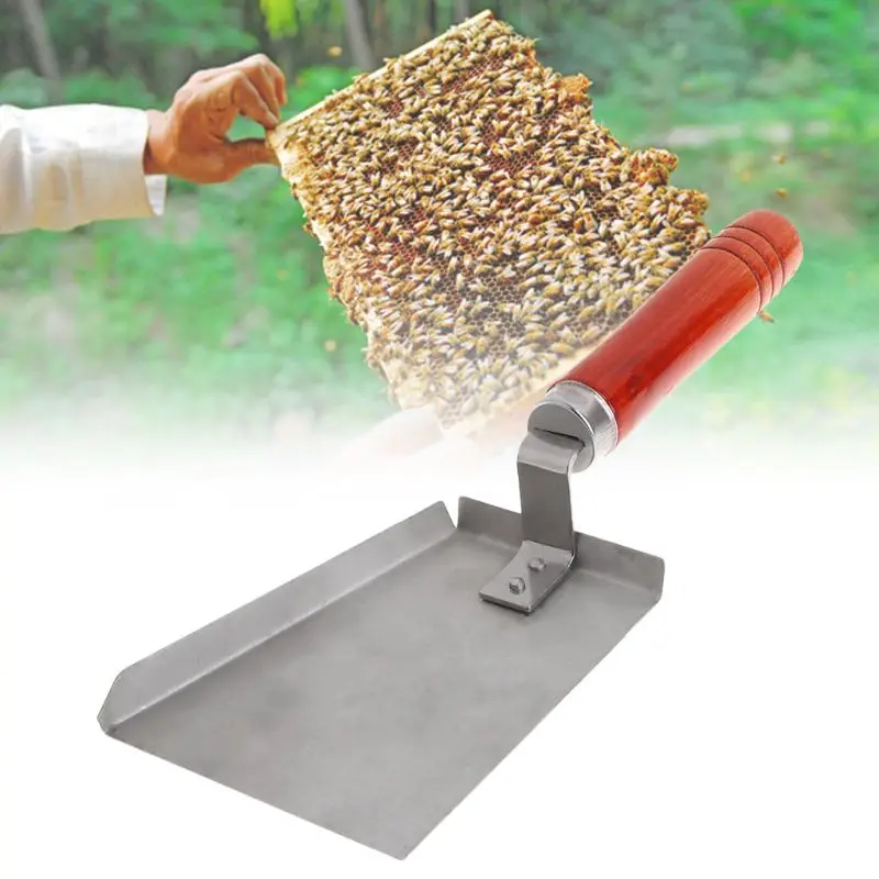 

Beekeeping Cleaning Shovel Stainless Steel Wood Handle Bee Case Cleaner Tools Hive Beekeeper Equipment