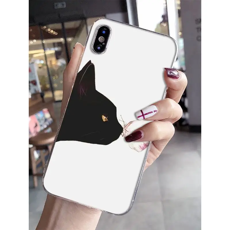 Cat Cartoon Cute Mouse Pig Cats Dog