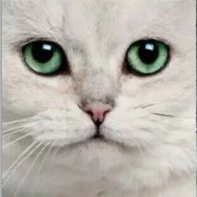 77h