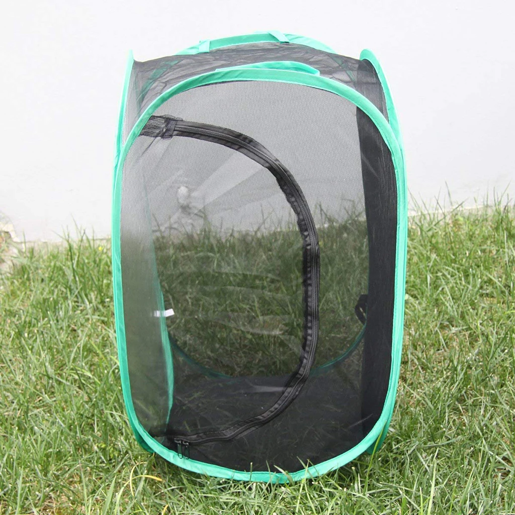 Large Pop Up Butterfly Habitat Terrarium Insect Cage Mesh Fly Net Science & Nature Observation Biology Supplies Educational Toy