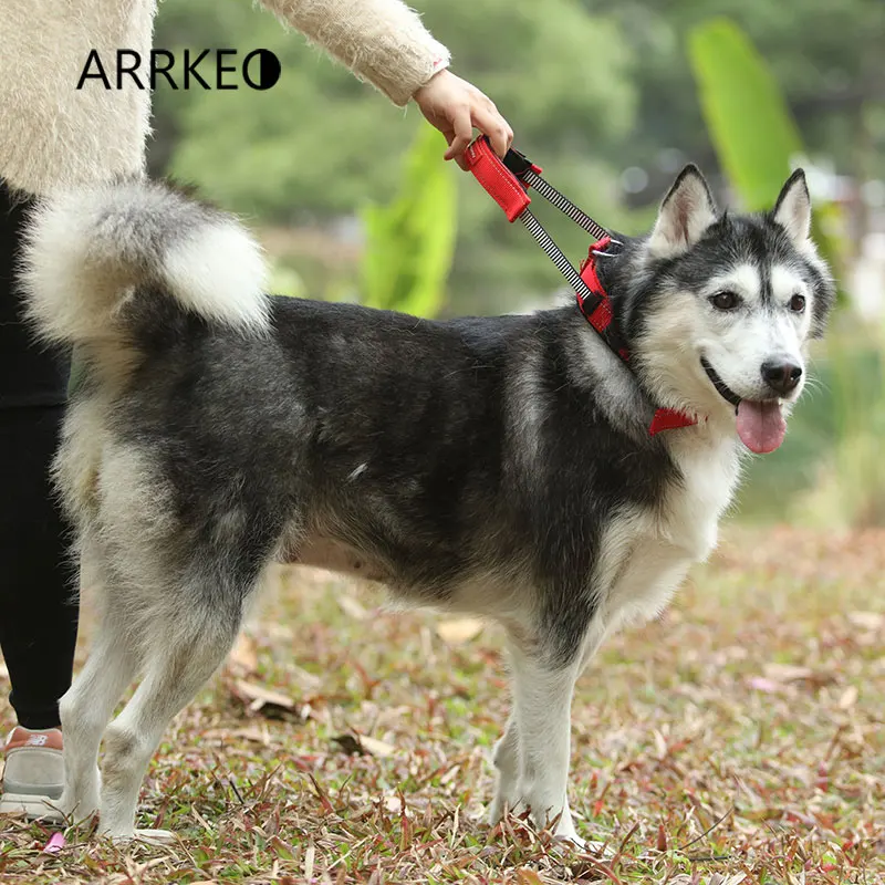 ARRKEO нейлоновый светильник, Светоотражающий ошейник для дрессировки собак, ошейник для управления собаками, товары для домашних животных, аксессуары для собак 37~ 71 см для средних и больших собак