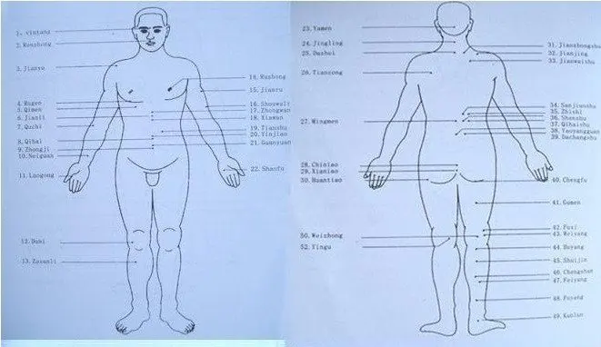 Многофункциональный цифровой меридиан терапия машина электронный акупунктурный массажер машина здравоохранения(США, ЕС или AU Plug