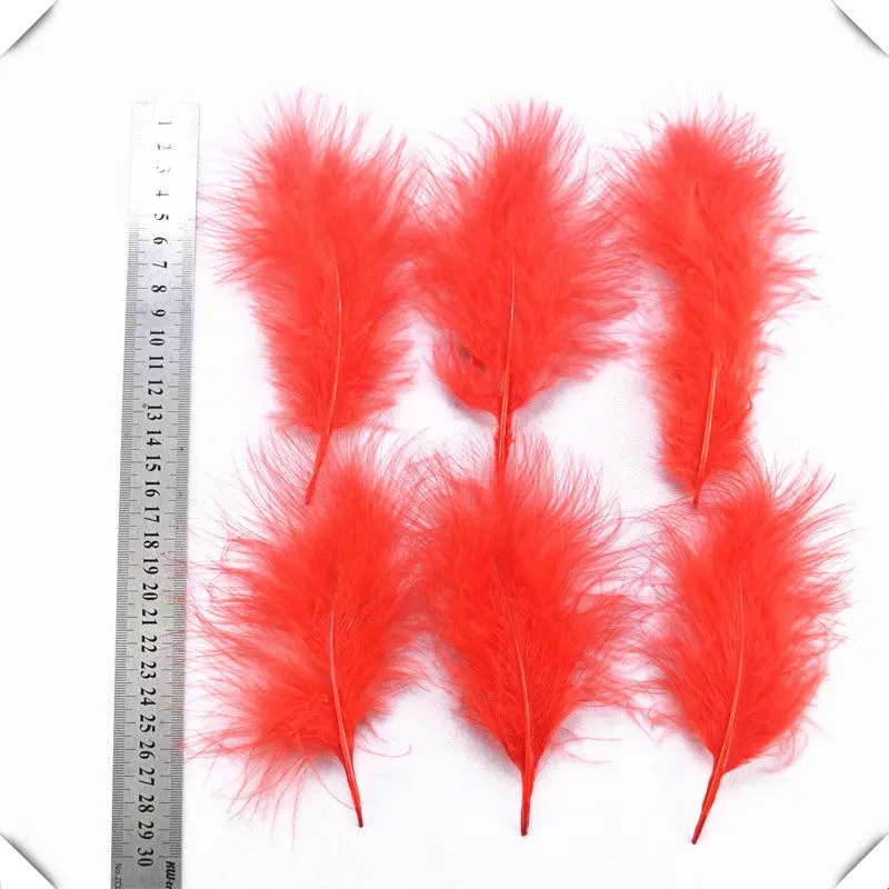 перья куриные на белом фоне. 5 перьев. перья декоративные. надпись пером. 5 перьев.