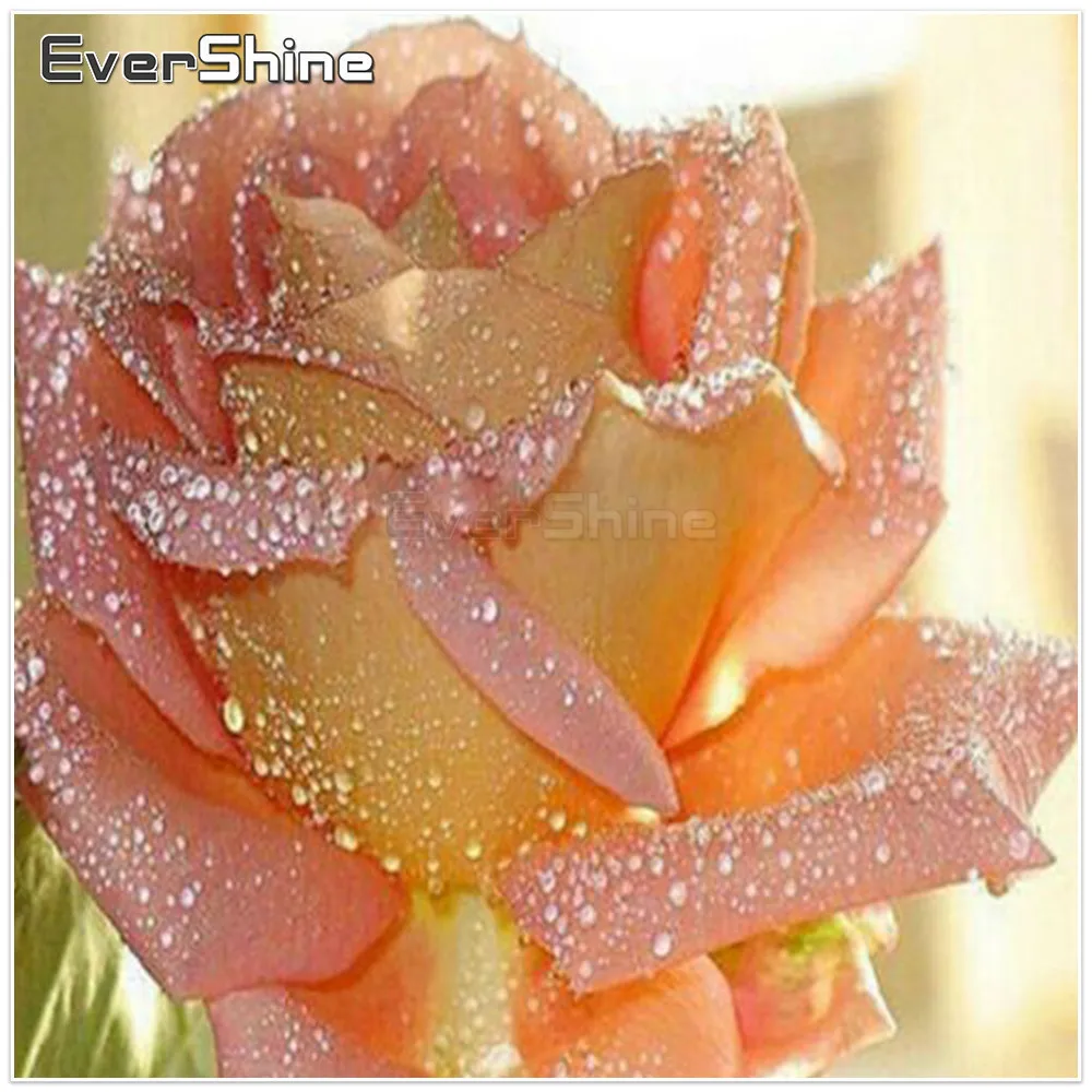 

EverShine New DIY Diamond Embroidery Rose Pictures Of Rhinestones 5D Diamond Painting Full Round Flowers Handmade Home Decor