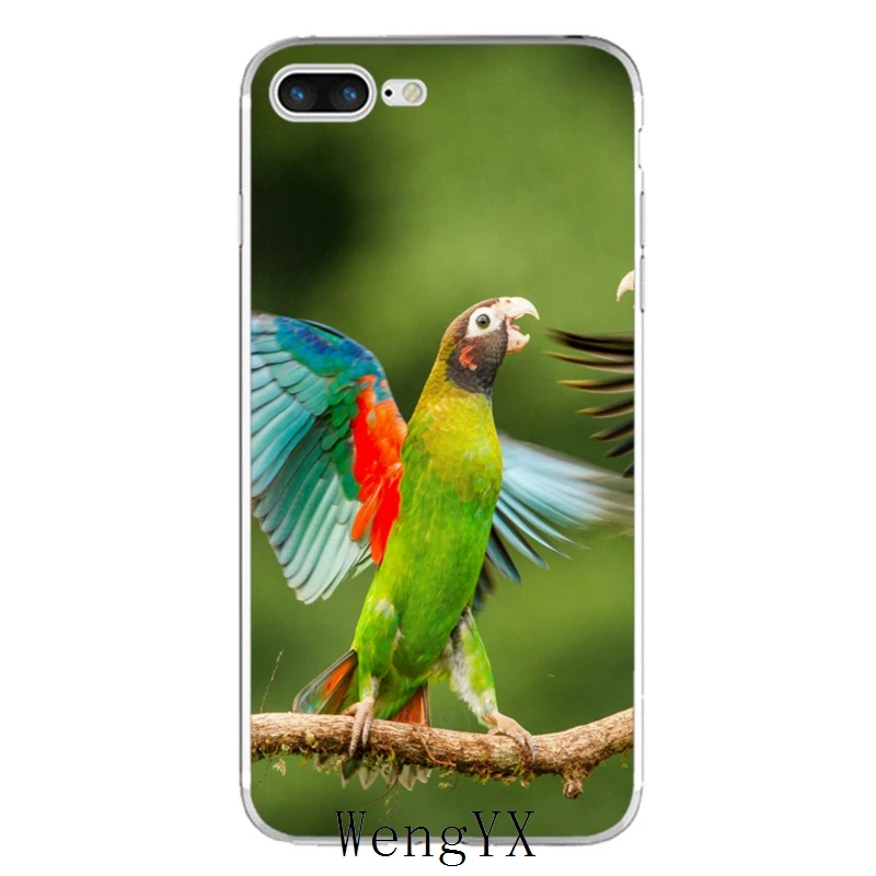 Зеленый Попугай Птицы Тонкий силиконовый мягкий чехол для телефона из ТПУ для Xiaomi Redmi 3 3s 4 4A 4x5 plus pro Note 3 4 5 5A - Цвет: Parrot-Birds-A-11