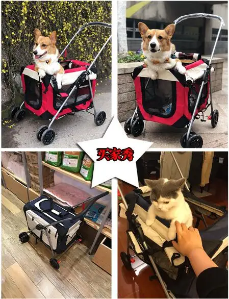 QQ20180419141454