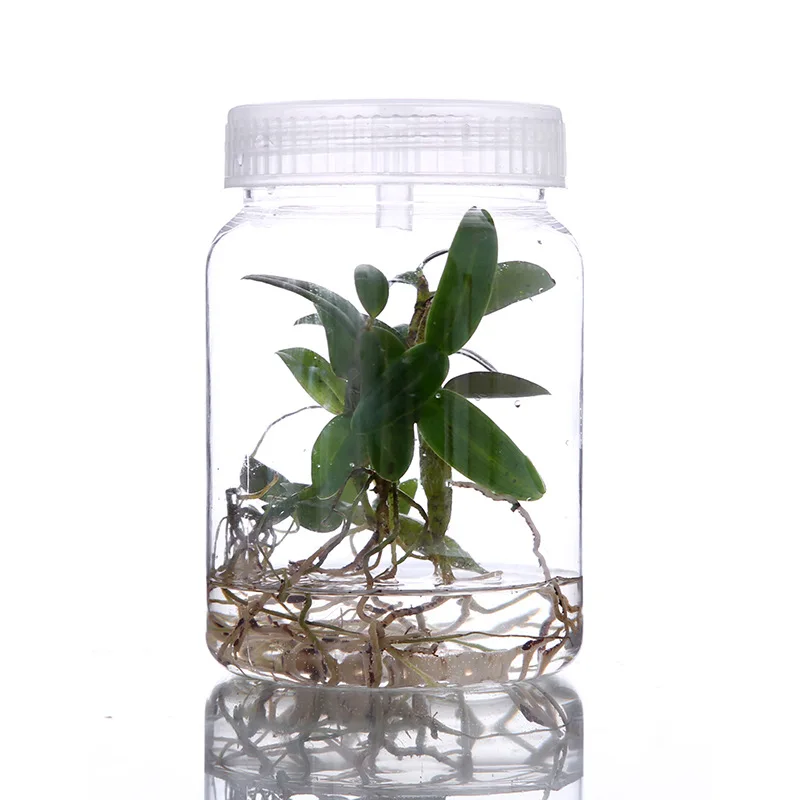 

1pc 350mL 500mL Plants Plastic Jars For Bottle Seedling Tissue Culture Seedling High Temperature Resistance No Deformation