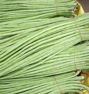 

Wang early cowpea cowpea 10 Pcss selling organic vegetable bonsai