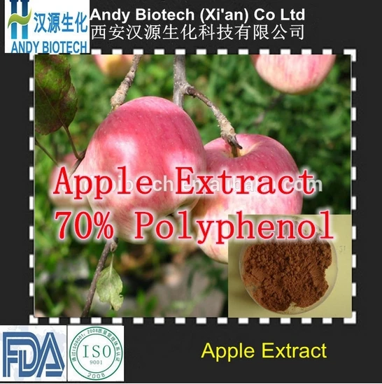 

10 Pack High Quality Apple Extract with specification 70% Polyphenol 500mg x 1000caps free shipping