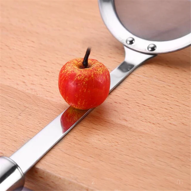 Multifunctional Stainless Steel Mesh Filter Spoon 3