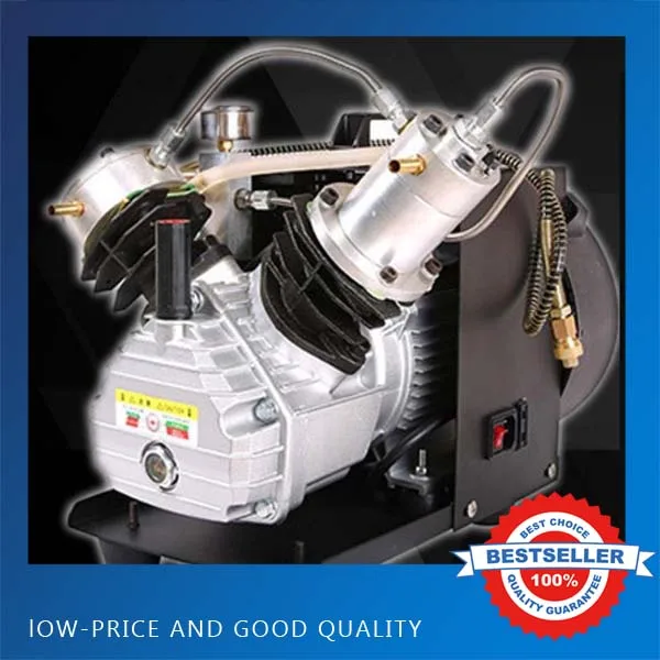 

Double Cylinder Electric Air Pump Paintball Air Compressor High Pressure PCP Rifle Air Pump For Max 12L