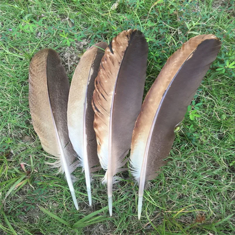10PCS DAY Rare beautiful pattern craft feathers 10 12inch natural