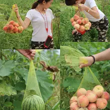 20 шт пластиковый сетчатый мешок упаковка сетчатый мешок для получения упаковки чистая пищевая упаковка чистая Искусство и ремесла садовая сеть
