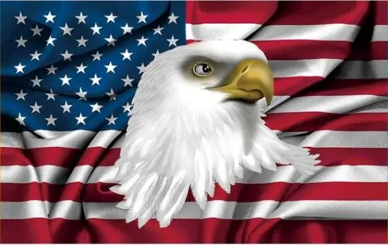 

custom 90x150cm hobby polyester flag 3x5ft with American big eagle bird banners flag