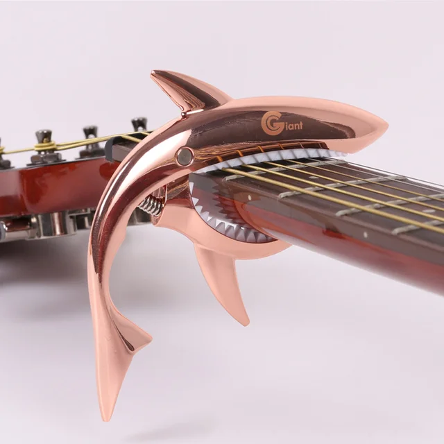 cool folk guitar variable clip clip electric guitar variation clip capo