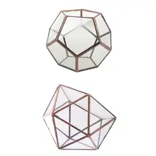 2 шт. различных видов современного стеклянный геометрический Террариум коробка настольное суккулентное растение плантатор