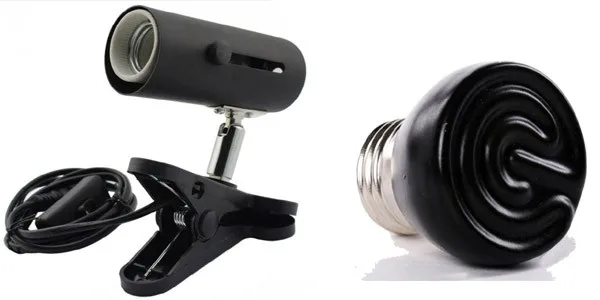 heater + holder