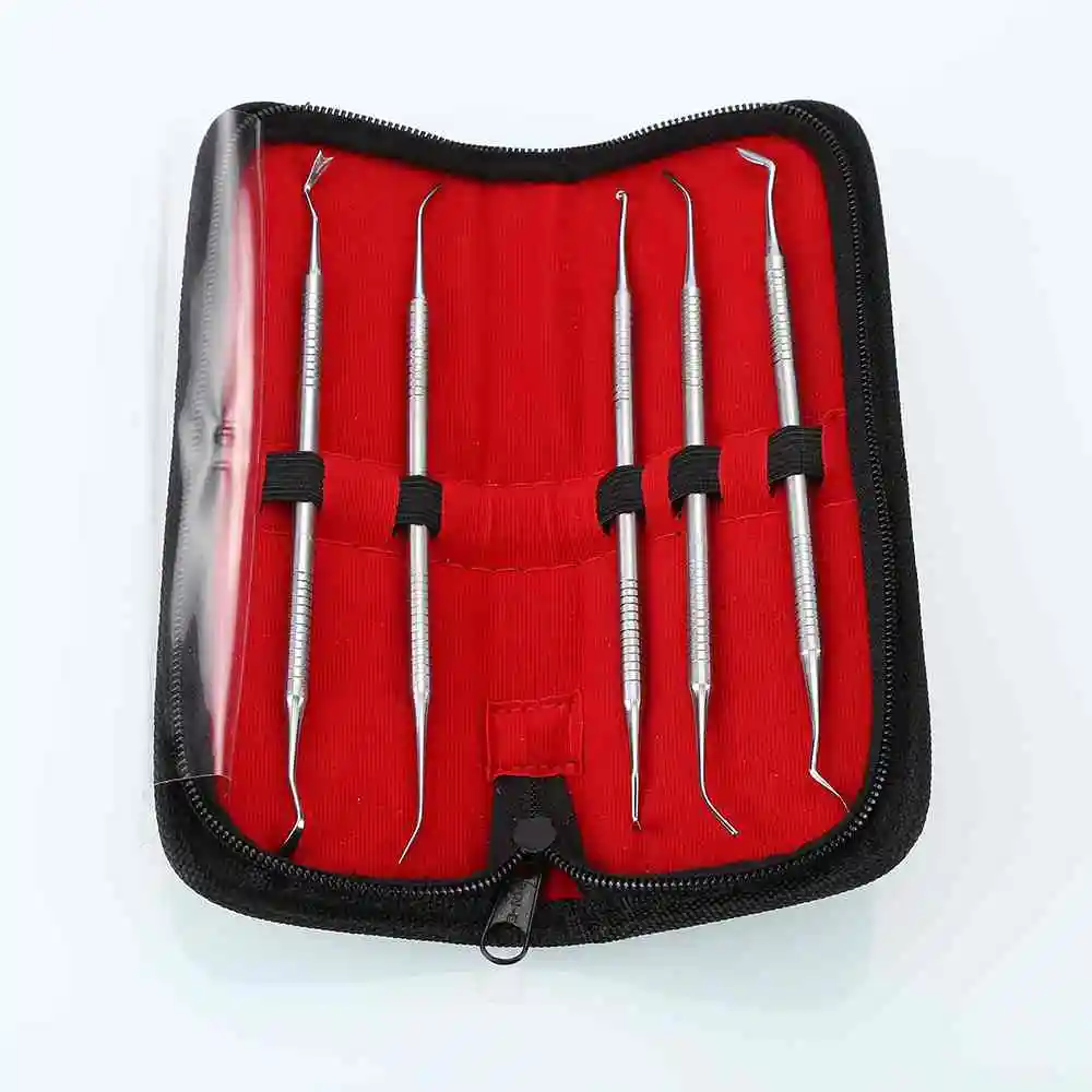 

New 5 PCS Dental Tooth Pick Probe Set Dental Composite Kit For Making Molds Hygiene Tools High Quality With Bag