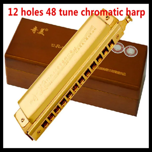 

Chromatic Harmonica 12 Hole 48 Tune Harmonica Cromatica  Professional Mouth Ogan Harp Instrumentos Musicais Chromatic Harmonica