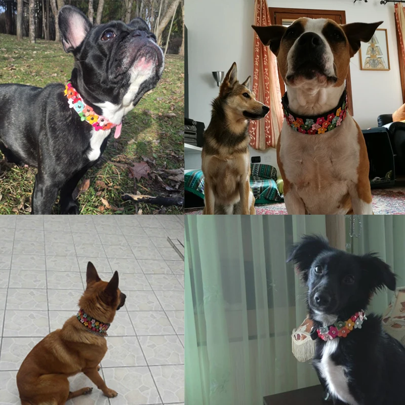 Ошейник с цветами для собак, милые Кожаные шипованные ожерелья для собак, ошейники для маленьких и средних собак, 8 цветов для чихуахуа, XS-M, DOGGYZSTYLE