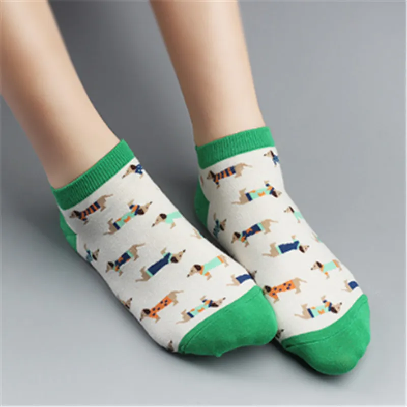 HTB1NOC6aFuWBuNjSspnq6x1NVXaw