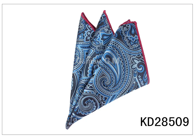 KD28509 Мужские карманные квадратные костюмы, носовые платки для мужчин с цветочным рисунком, мужские носовые платки, повседневный костюм, квадратные носовые платки, полотенца для мужчин, вечерние, 25 см x 25 см - Цвет: KD28509