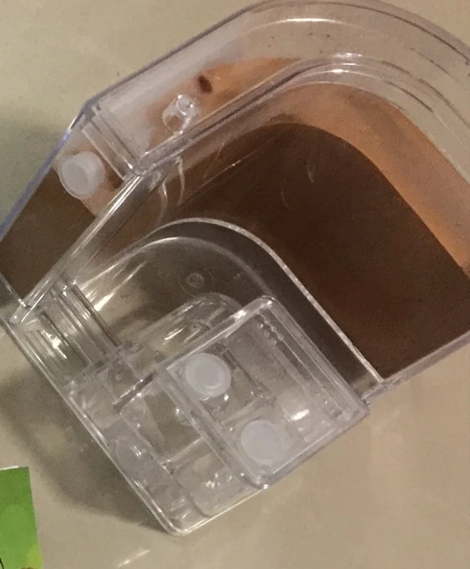 ant-nest-house (7)