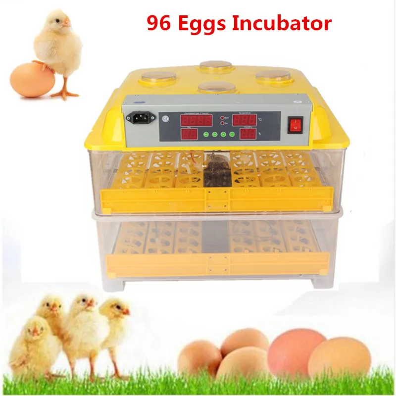 Инкубаторы для яиц птиц для попугаев. Инкубатор аппарат 526шт. Инкубатор hhd 88 инкубатор hhd 88. Инкубатор 7 автоматическое яйцо интеллектуальный интеллектуальный. Mini egg incubator.
