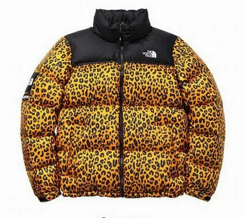 The North Face Supreme Aliexpress Flash 