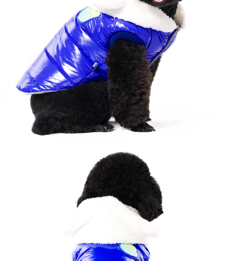 14 clothes dog 