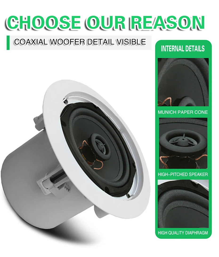 ceiling speaker (4)