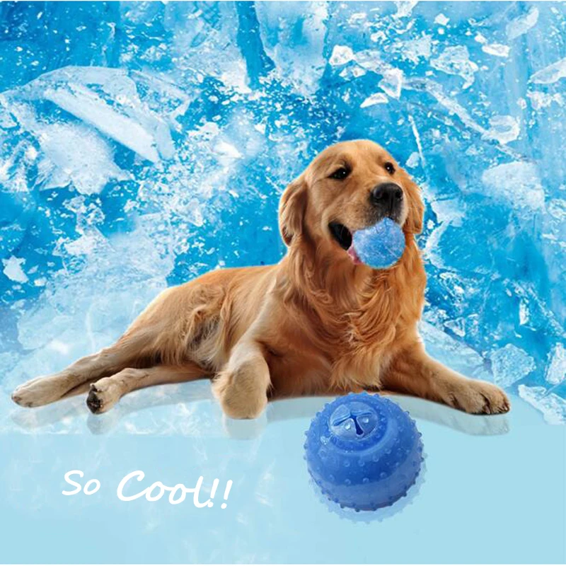 Pet-Ice-Toy-Summer-Cool-Chew-Toys-Bite-Resistant-Tooth-Cleaning-Ice-Chewing-Toy-for-Large