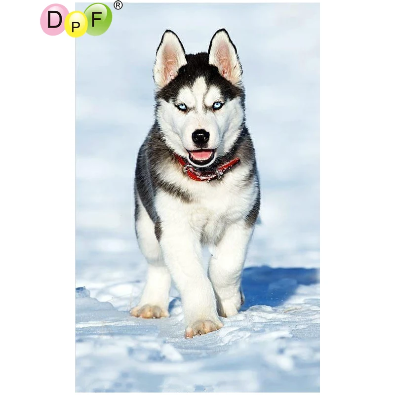 DPF DIY Snow husky 5D diamond mosaic full square embroidery needlework painting cross stitch crafts home decor | Дом и сад