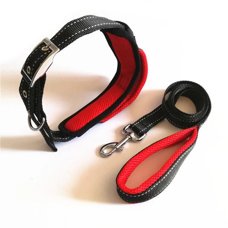 Dog Collar and Leash Set (17)
