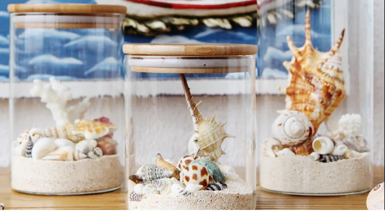 DIY пожелания счастливая дрейфующая бутылка проката моллюсков отшельник украшения "Средиземное море" морская улитка Nordic ракушки морские звезды ремесла