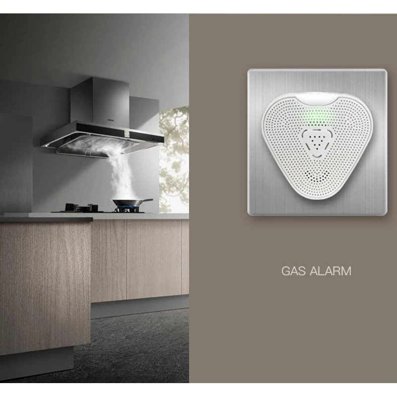 gas alarm (6)