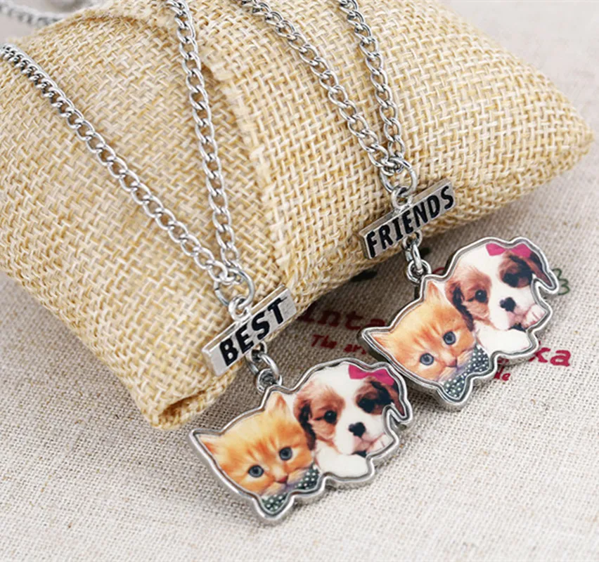 Kids jewelry children epoxy print enamel cute bog and cat best friends BFF necklace bead chain